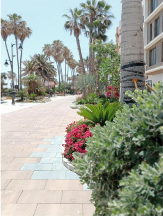 Beach Side Apartment -Estepona Kültér fotó